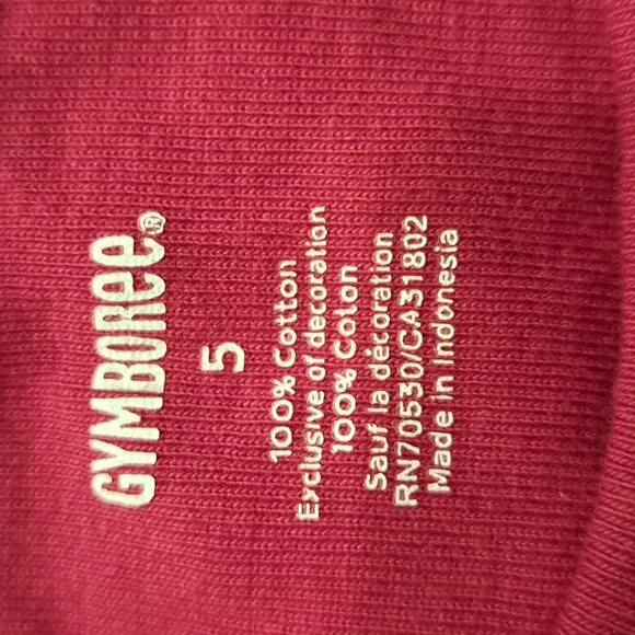 Gymboree girls size 5 Cozy Owl long sleeve shirt VGUC - Picture 2 of 3